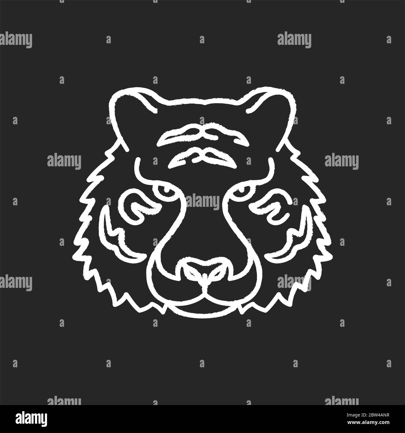 Bengal tiger chalk white icon on black background Stock Vector Image