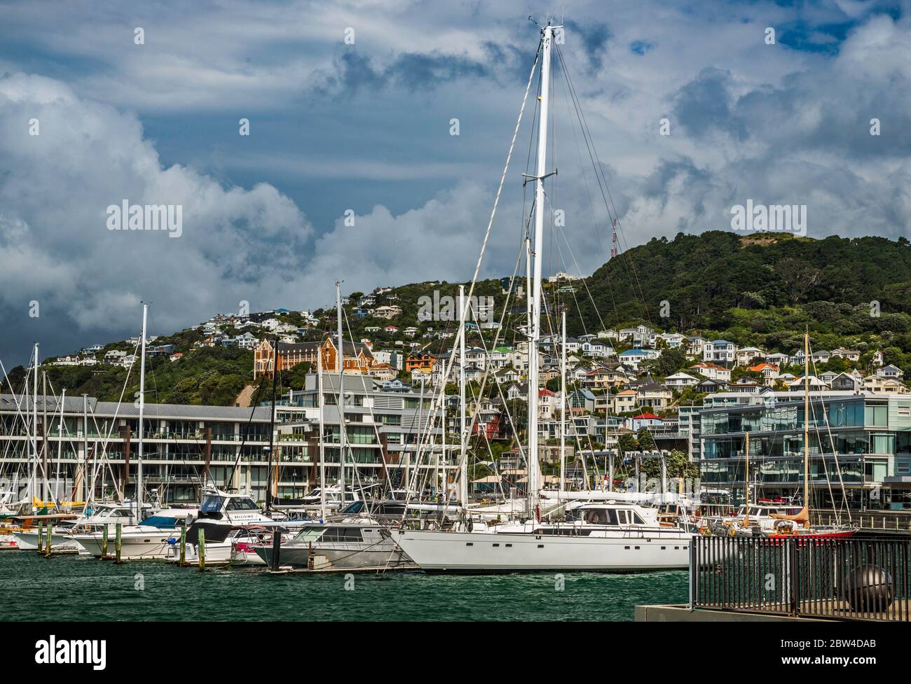 Sailboats at Chaffers Marina, Mount Victoria in distance, view from Waterfront Walk in Wellington, North Island, New Zealand Stock Photo