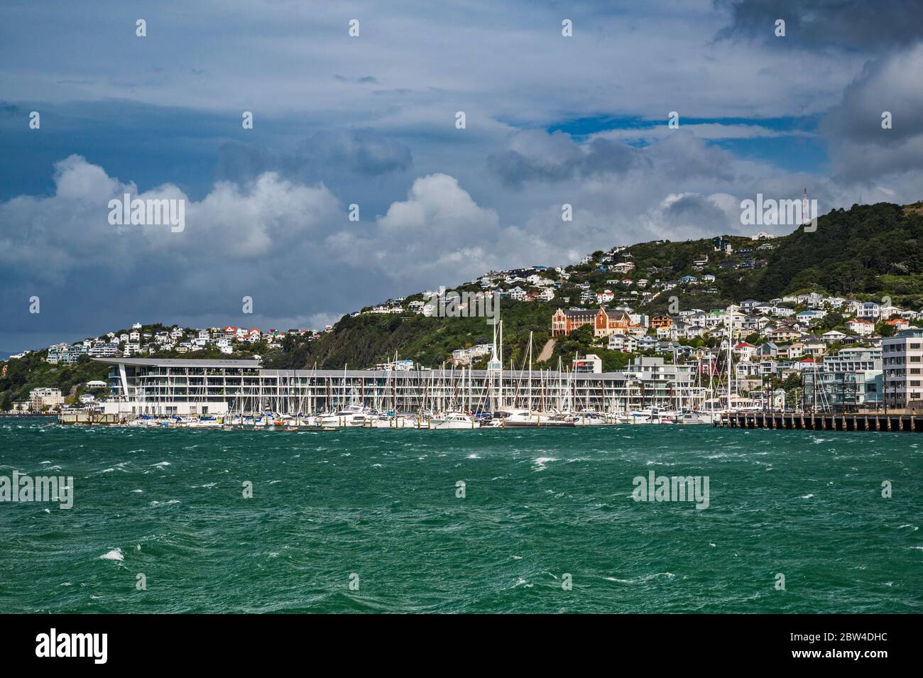 Overseas Passenger Terminal, sailboats at Chaffers Marina, Wellington Harbour, Mount Victoria in distance, in Wellington, North Island, New Zealand Stock Photo