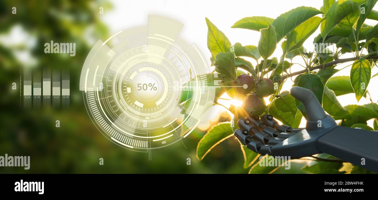 Robot works in a fruit garden. Digital transformation in agriculture and smart farming Stock Photo