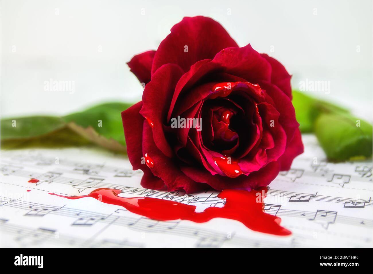 Red rose on musical score Stock Photo - Alamy