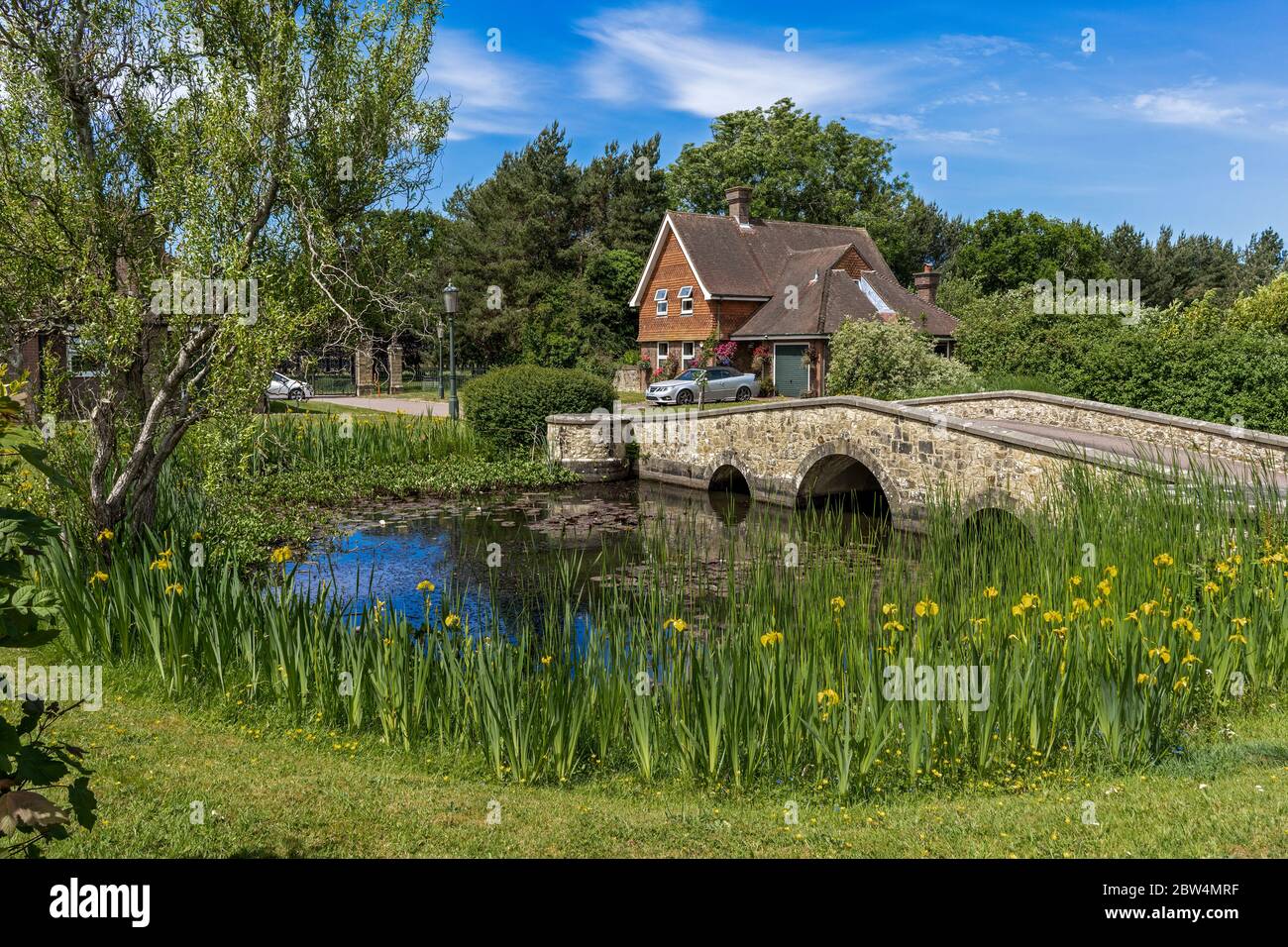 The Village Pond in Warninglid, in Spring in West Sussex, UK Stock Photo