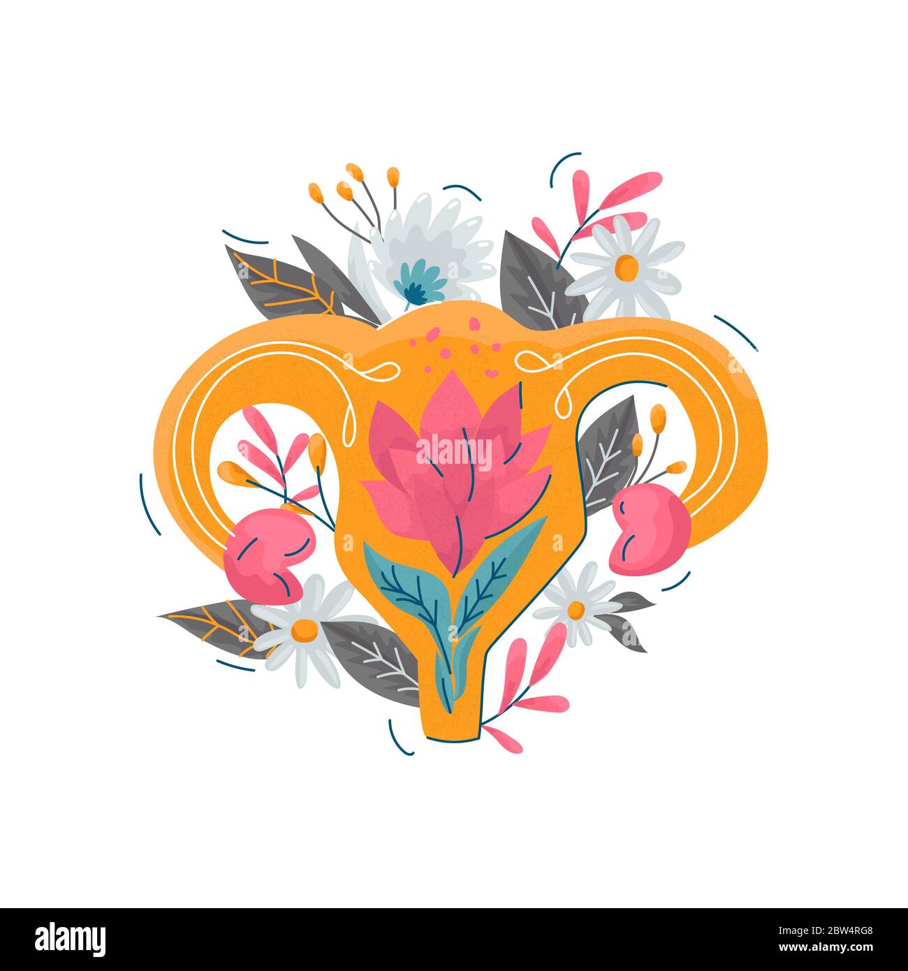Uterus with floral decoration vector illustration Stock Vector Image