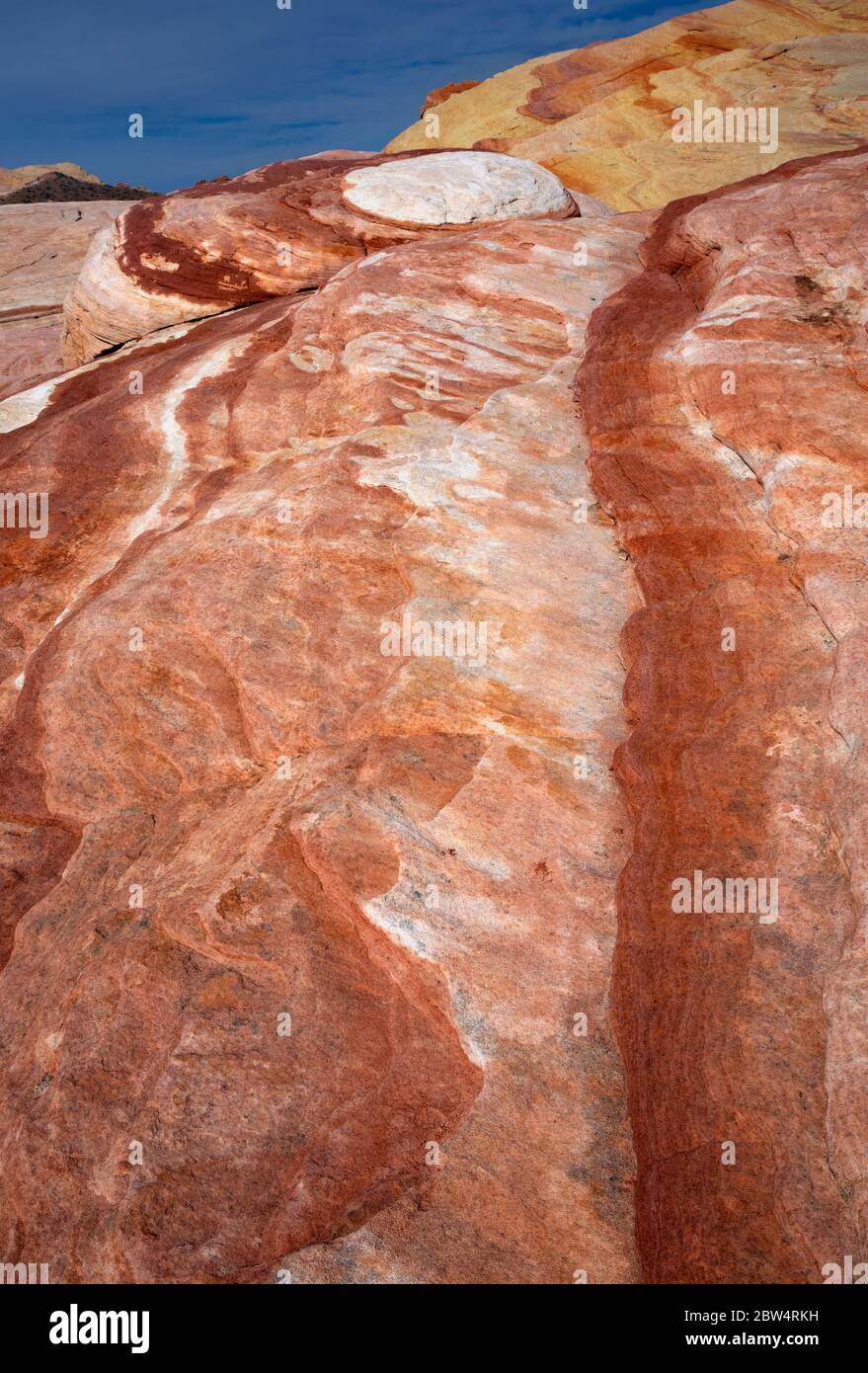 NV00170-00....NEVADA - Contrasting layers at the Fire Wave in  Valley of Fire State Fire. Stock Photo