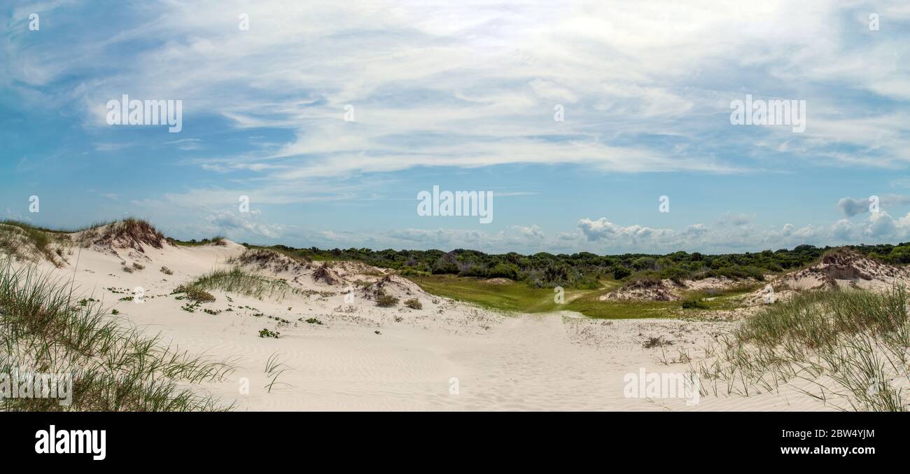 Sand dunes at Cumberland Island National Seashore. Stock Photo