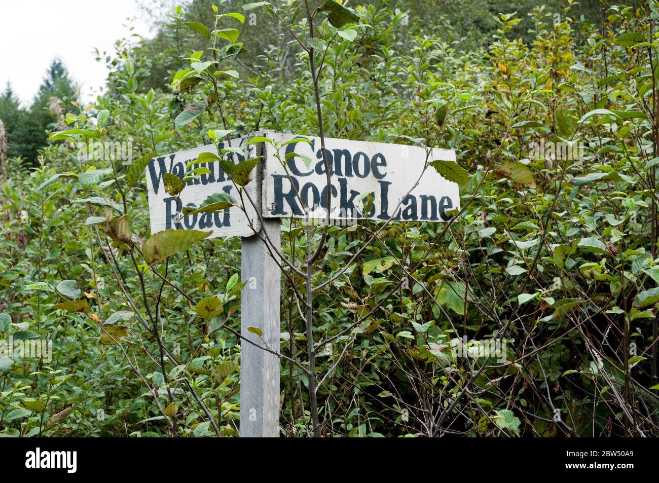 Homemade street signs on a road in the indigenous First Nation village of Wuikinuxv in the Great Bear Rainforest, British Columbia, Canada. Stock Photo