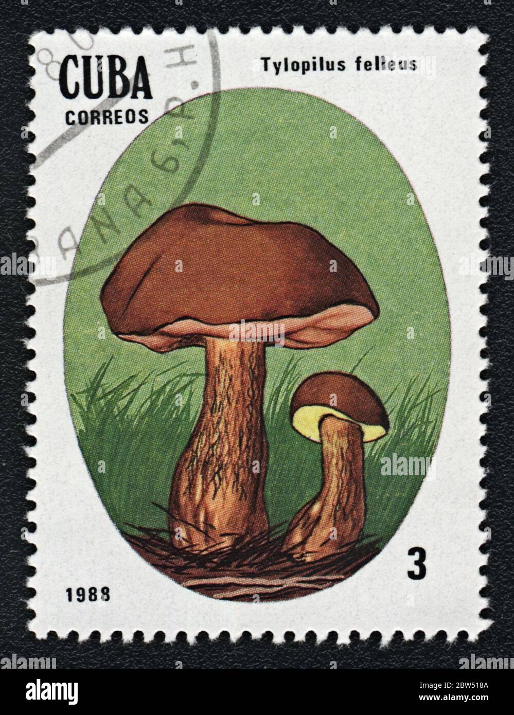 Tylopilus felleus inedible fungus. Series: Inedible and Poisonous Mushrooms. Postage stamp Cuba 1988 Stock Photo