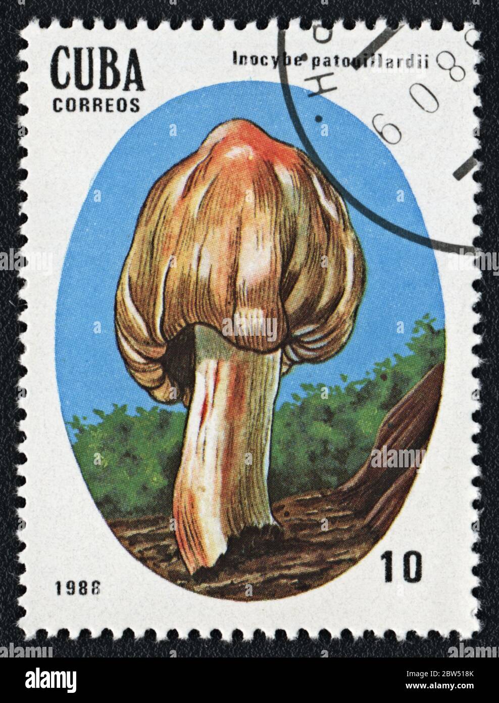 Inocybe patouillardii or Inocybe erubescens  poisonous fungus. Series: Inedible and Poisonous Mushrooms. Postage stamp Cuba 1988 Stock Photo