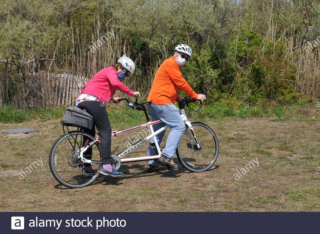 cannondale road tandem 2