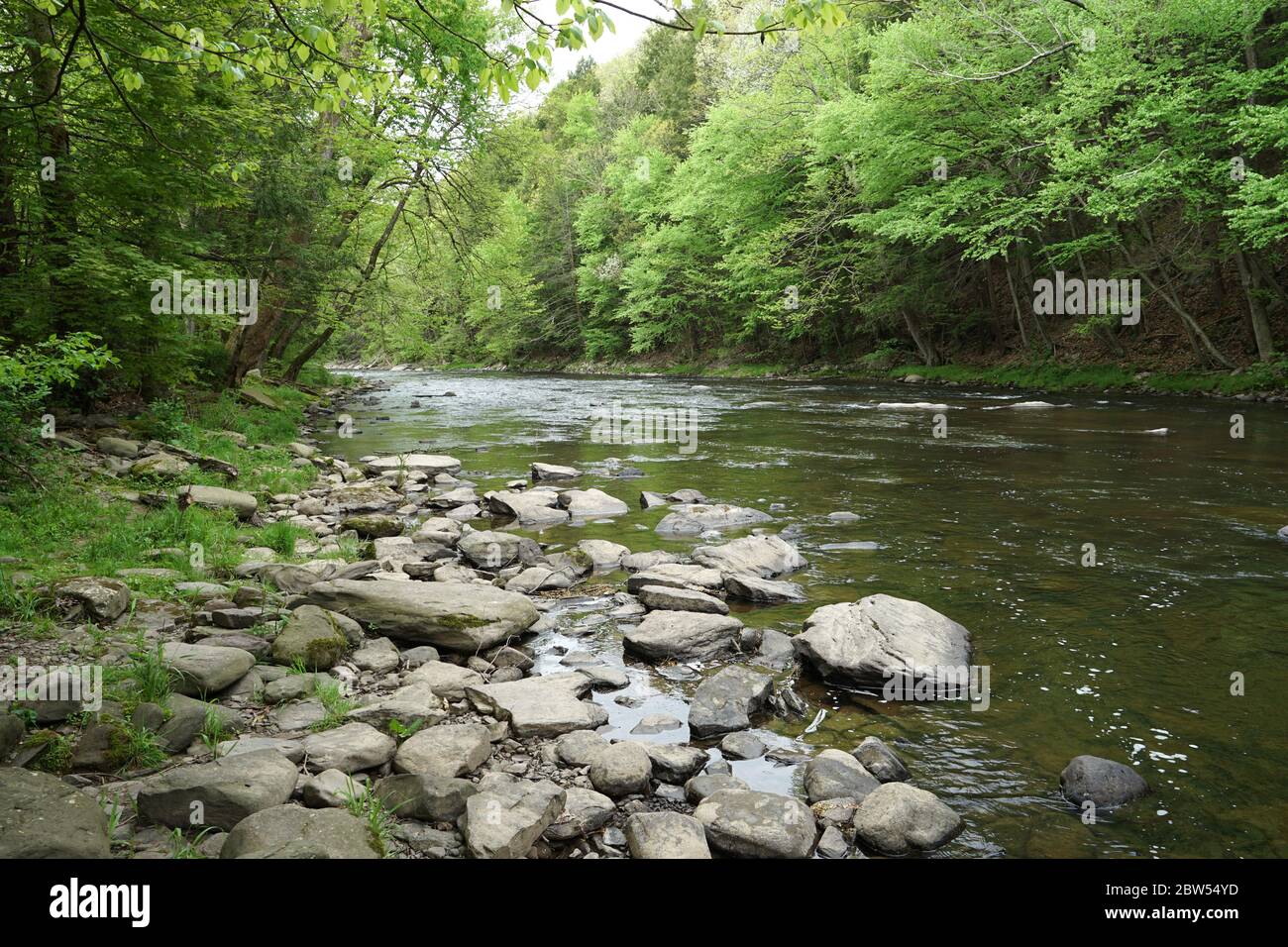 Huntington Creek, in Fishing Creek Township, in Orangeville, Pennsylvania Stock Photo Alamy