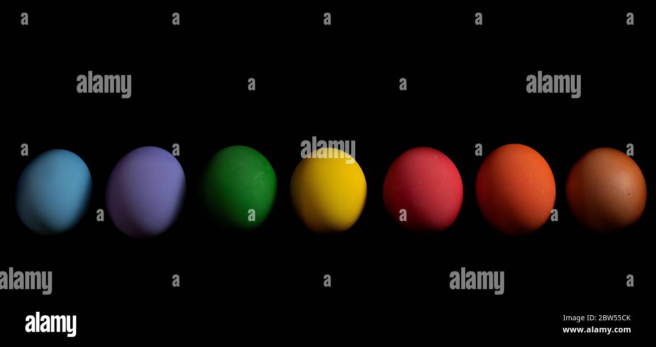 Collection of colorful easter egg chicken on black background Stock Photo