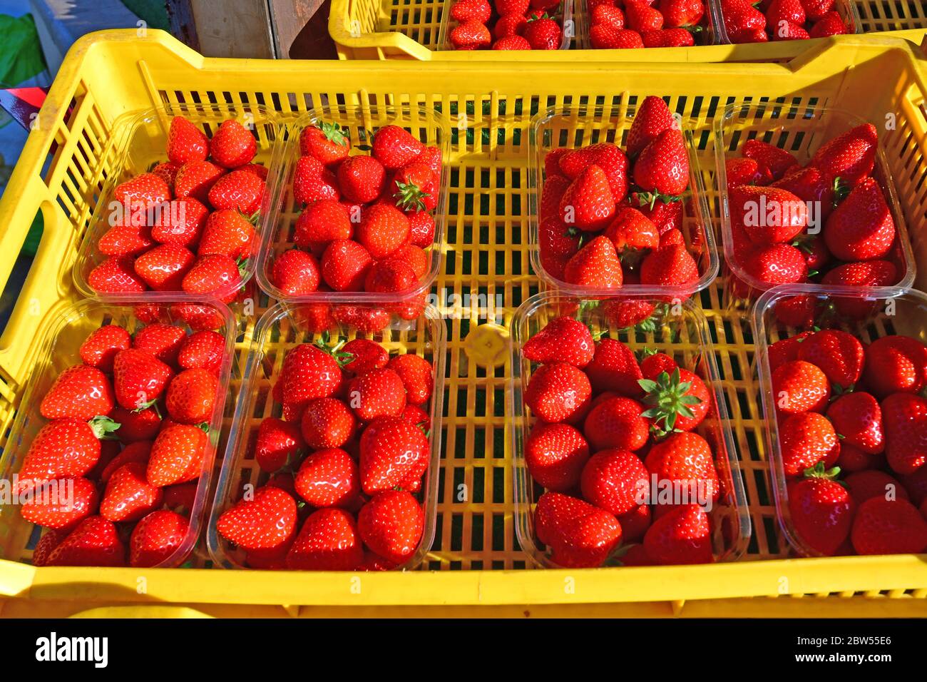 in yellow counter basket hires stock photography and images