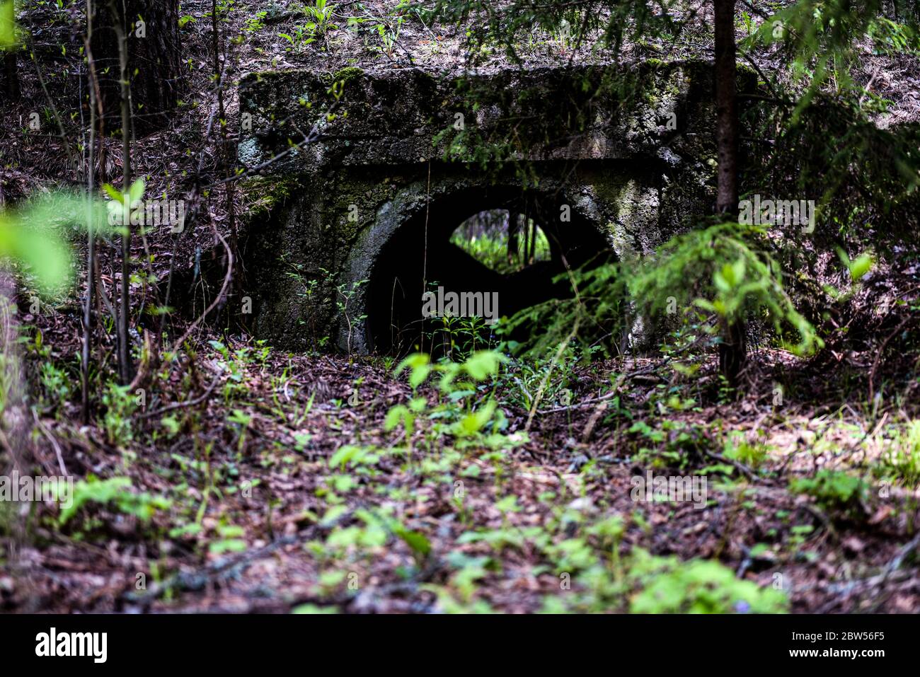 Old concrete water channel in the forest. Stock Photo