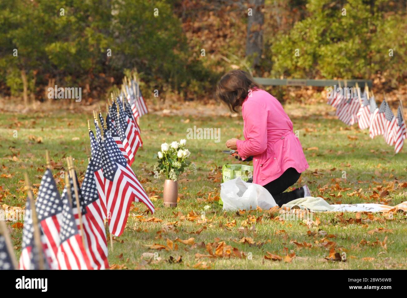 On Memorial Day, a woman places flowers on a loved one's grave with American flags on all the graves. Stock Photo