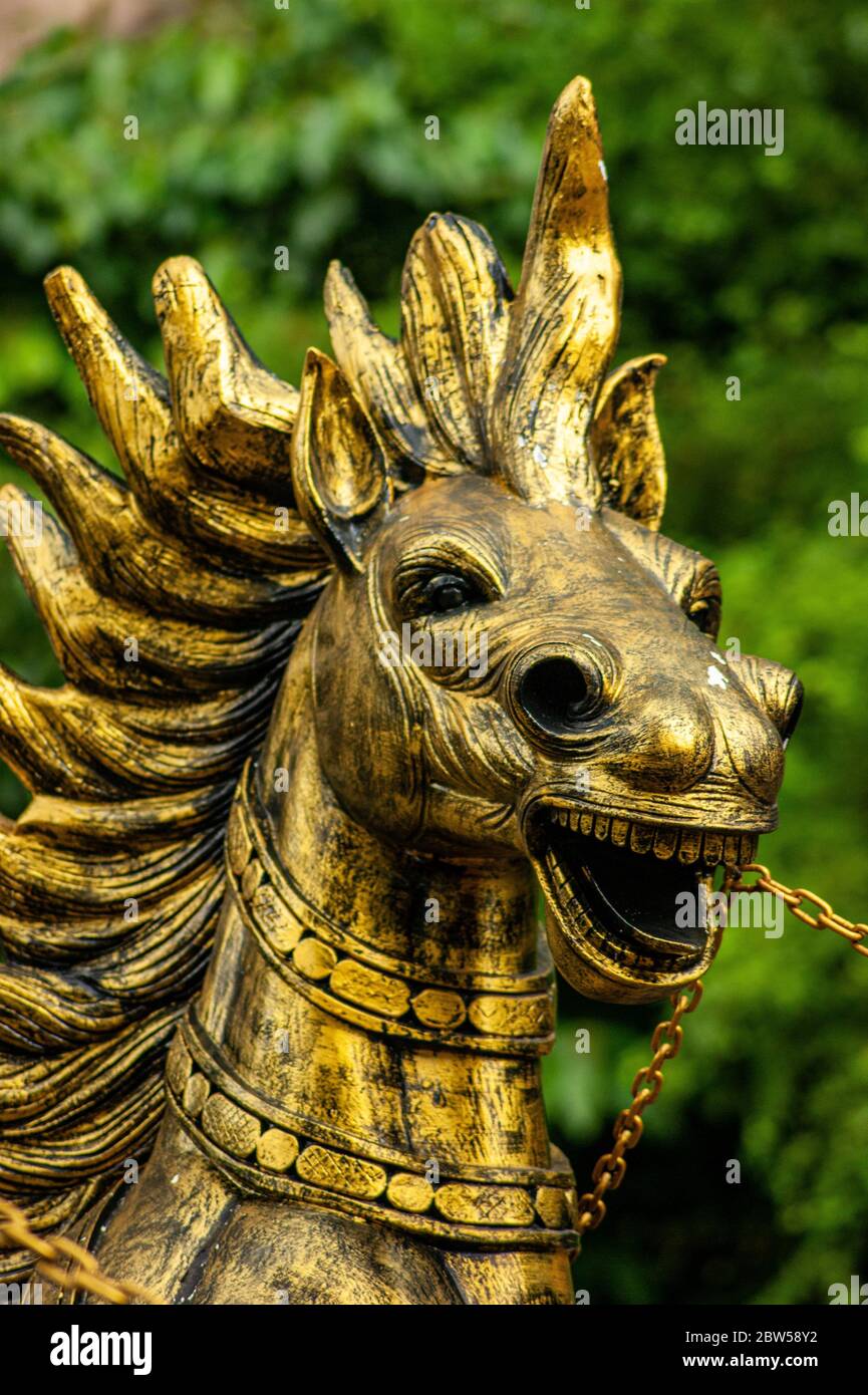 Golden Horse Head Stock Photo Alamy