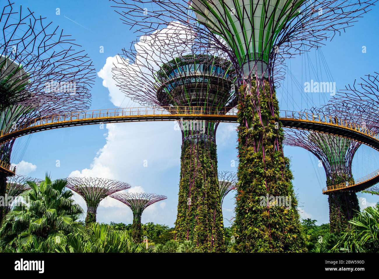 Singapore Green Garden Stock Photo