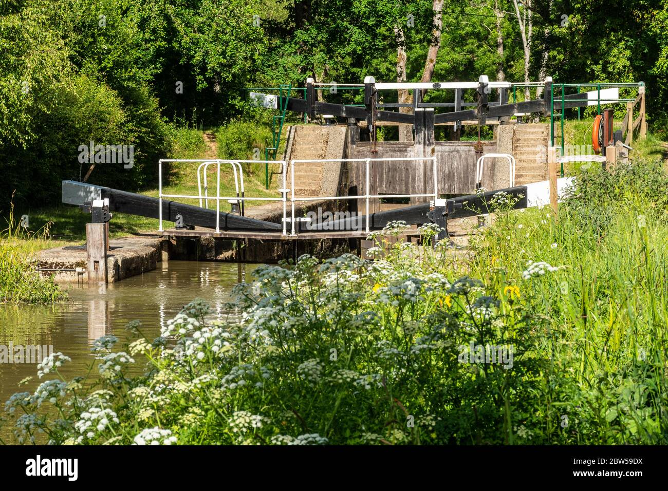 Brewhurst Lock on the Wey and Arun Canal, a partially restored canal near Loxwood, West Sussex, UK Stock Photo