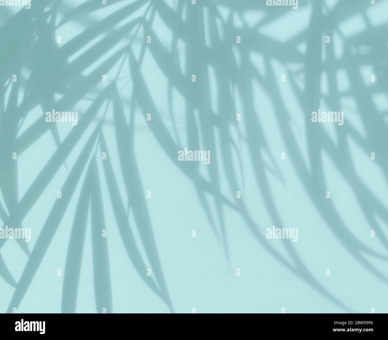 blurred palm tree shadow on abstract blue color background Stock Photo