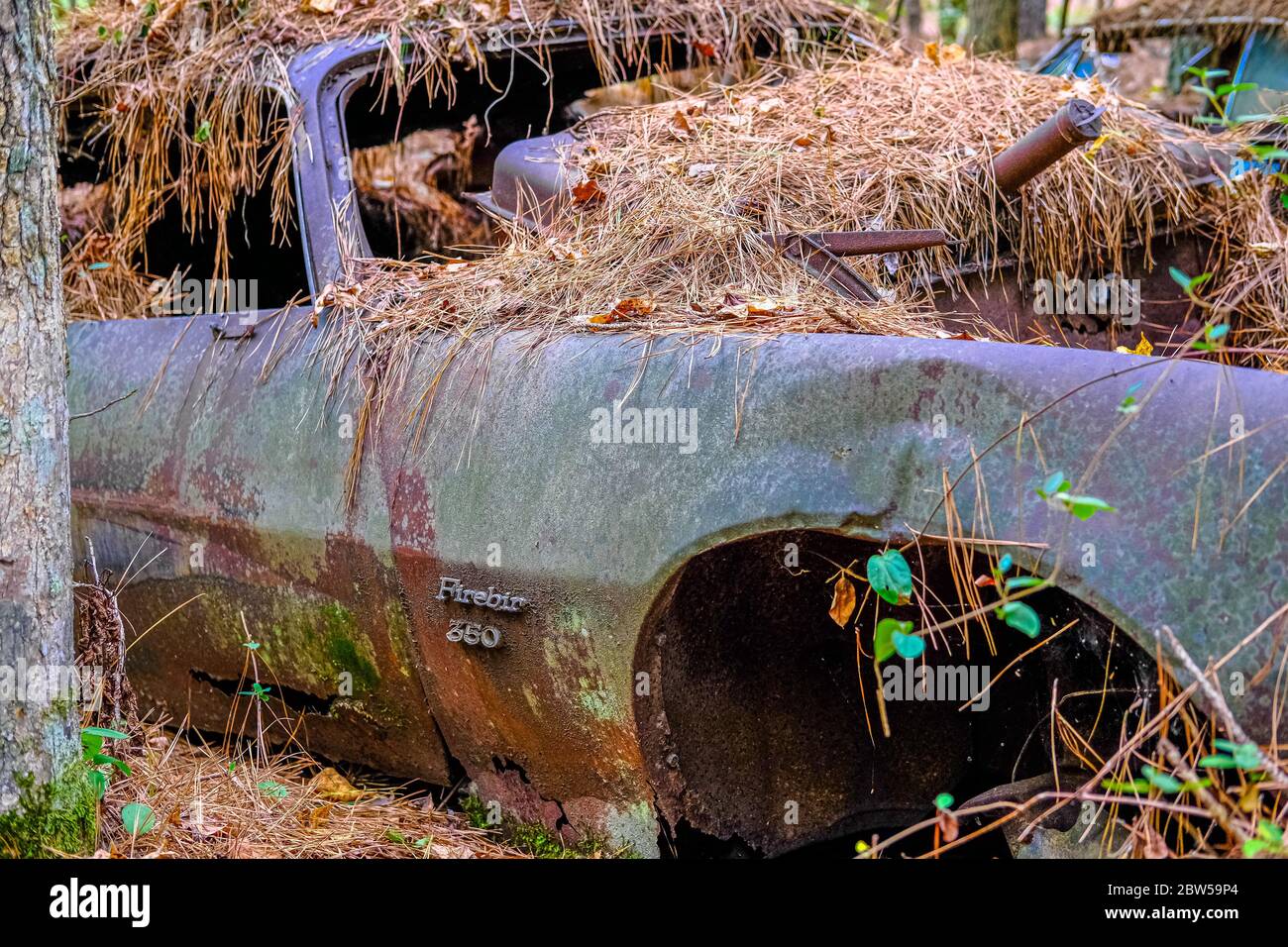 Firebird 360 Body Stock Photo - Alamy