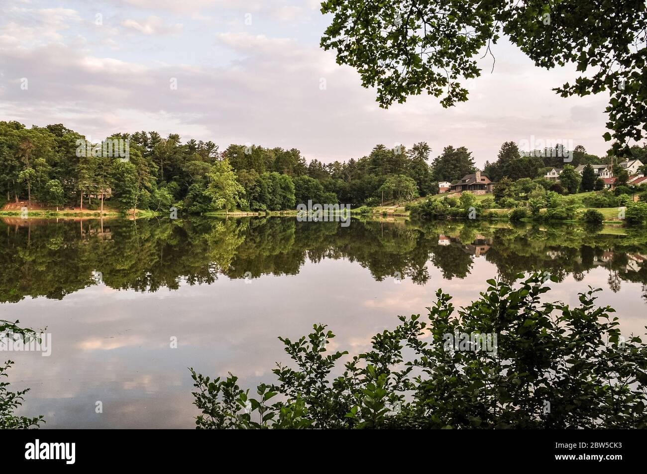 Reflection of the green trees in a deserted lake Stock Photo - Alamy