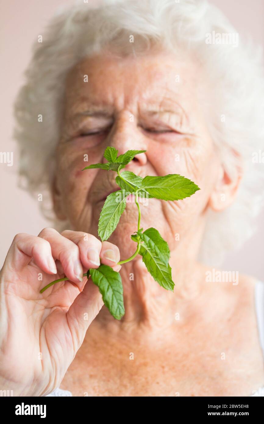Elderly woman smelling mint. Olfactory loss can be a early warning sign