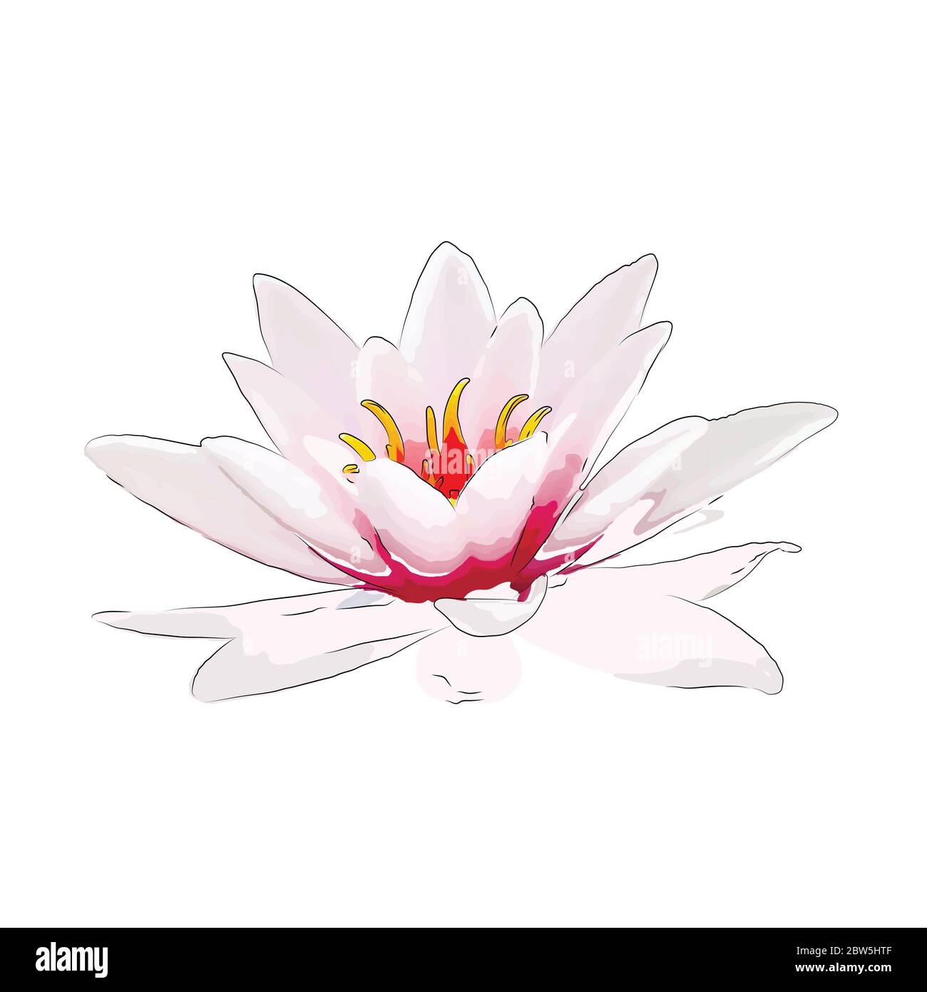 Flower on a white background isolated. Vector Illustration Stock Vector ...