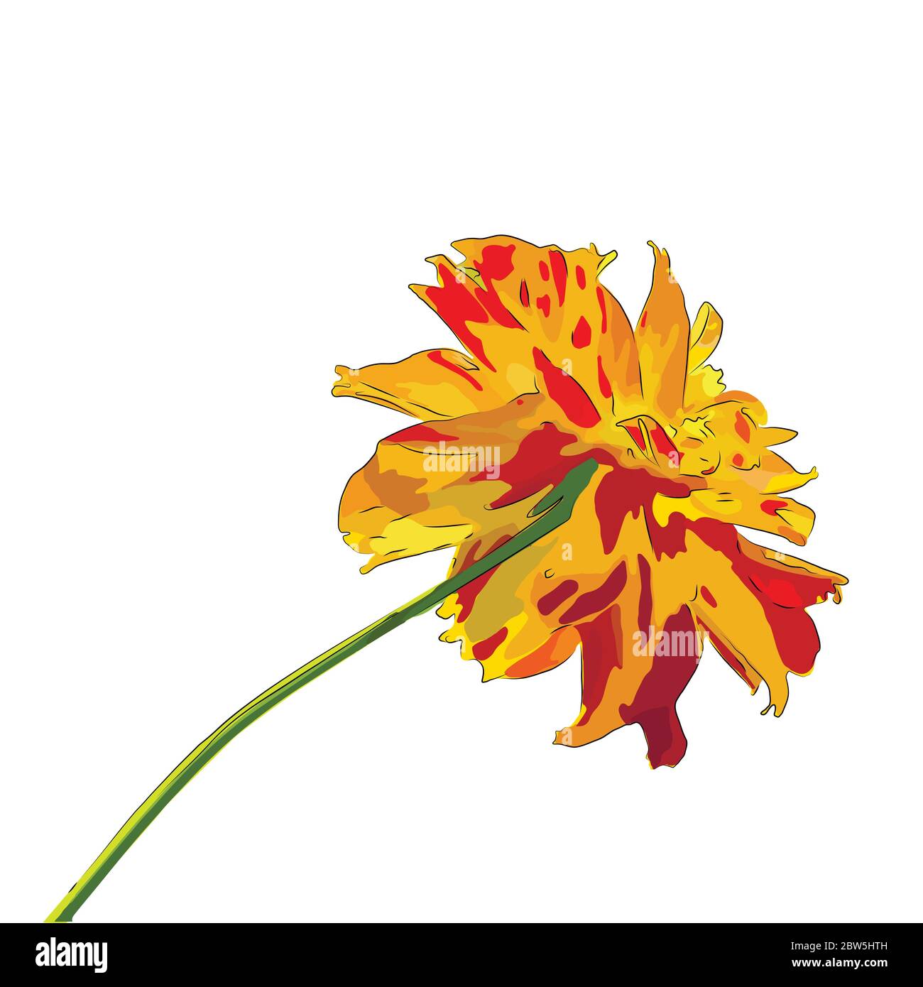 Flower on a white background isolated. Vector Illustration Stock Vector ...