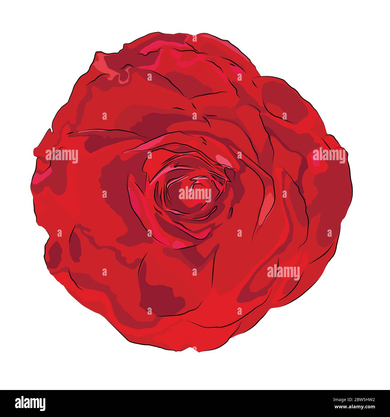 Flower on a white background isolated. Vector Illustration Stock Vector ...