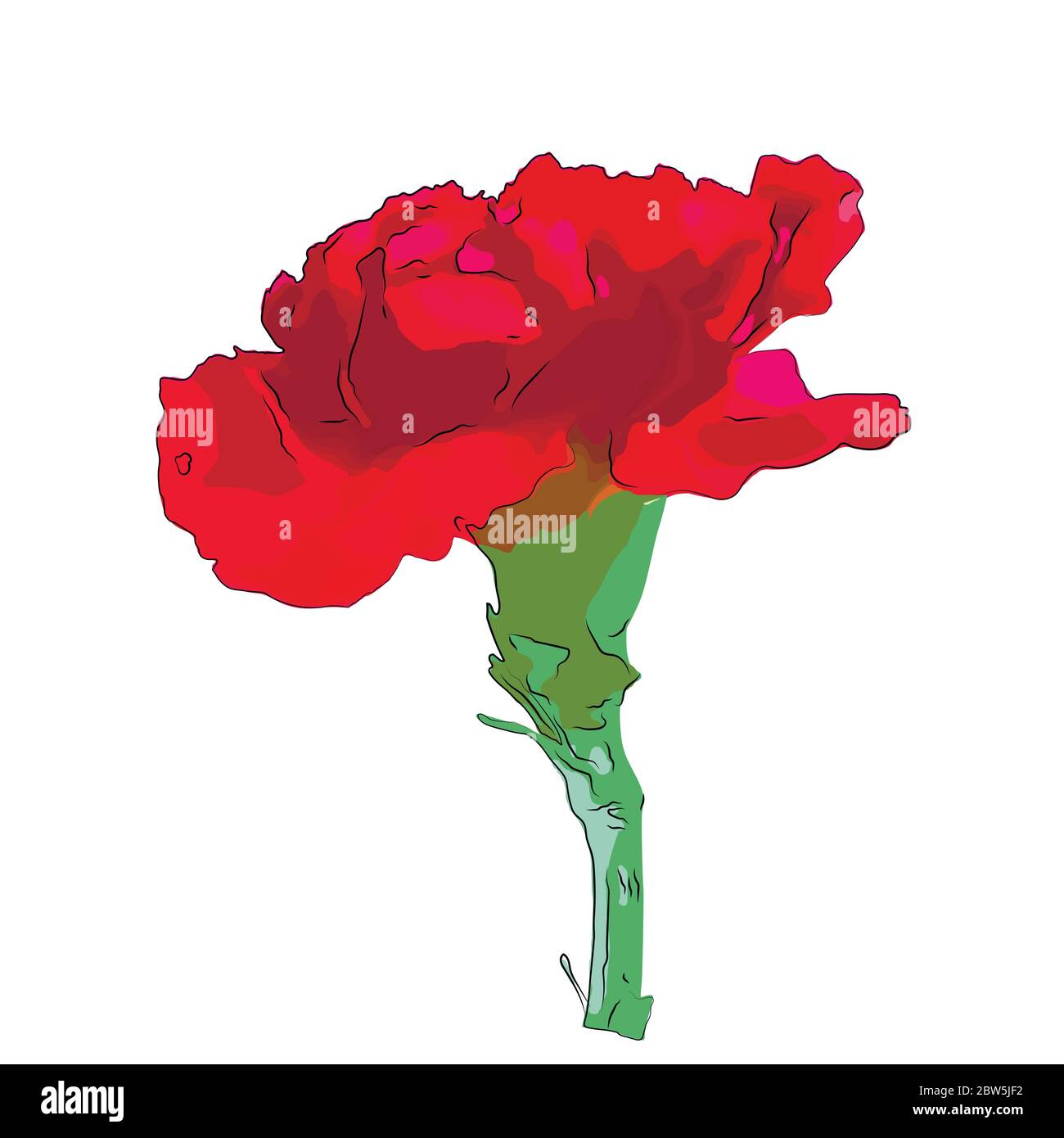 Flower on a white background isolated. Vector Illustration Stock Vector ...