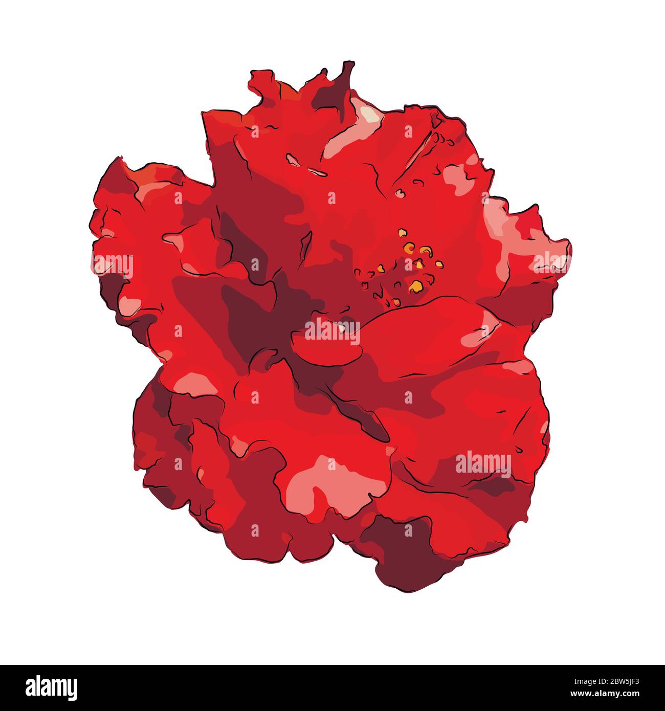 Flower on a white background isolated. Vector Illustration Stock Vector ...