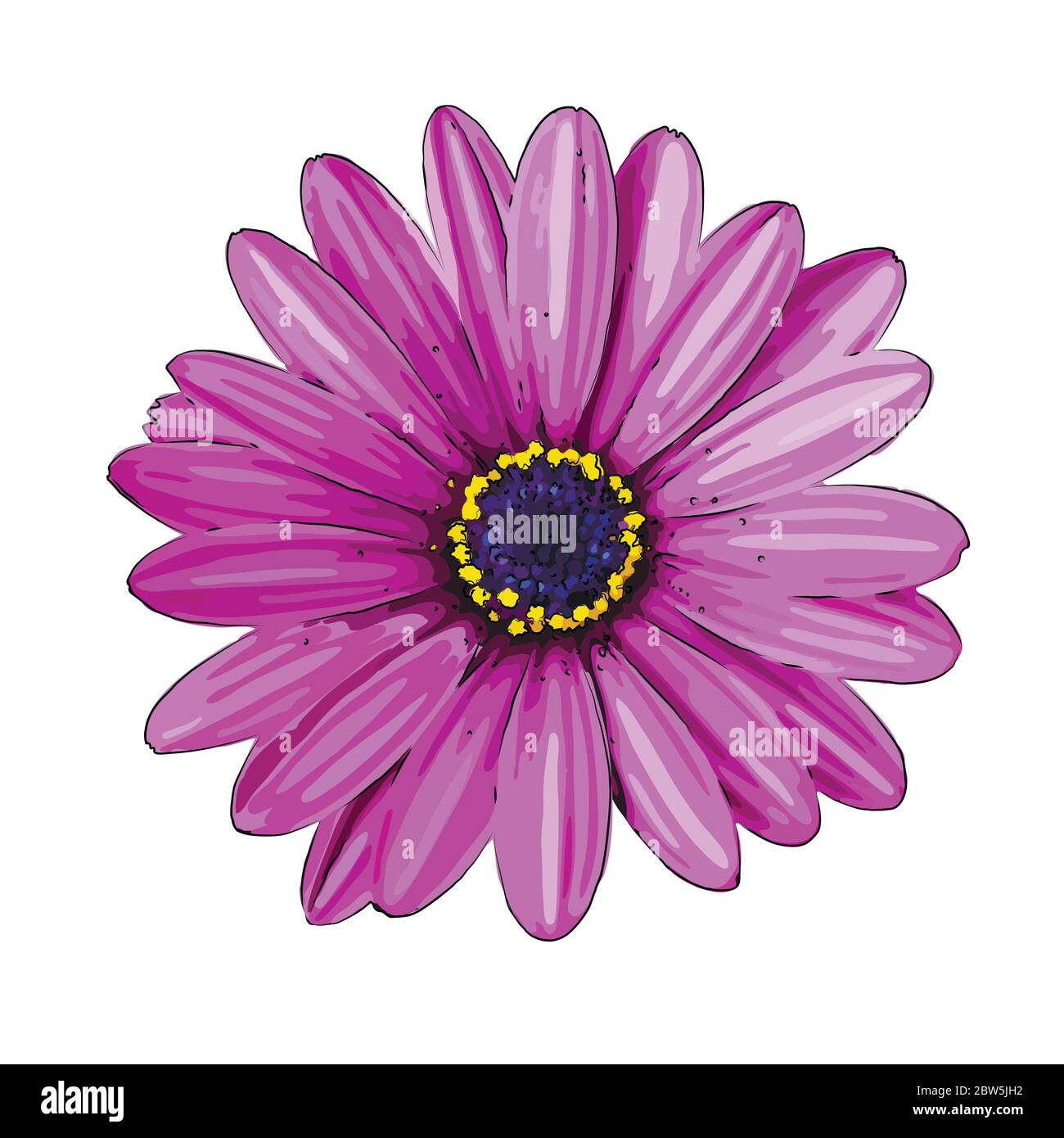 Flower on a white background isolated. Vector Illustration Stock Vector ...