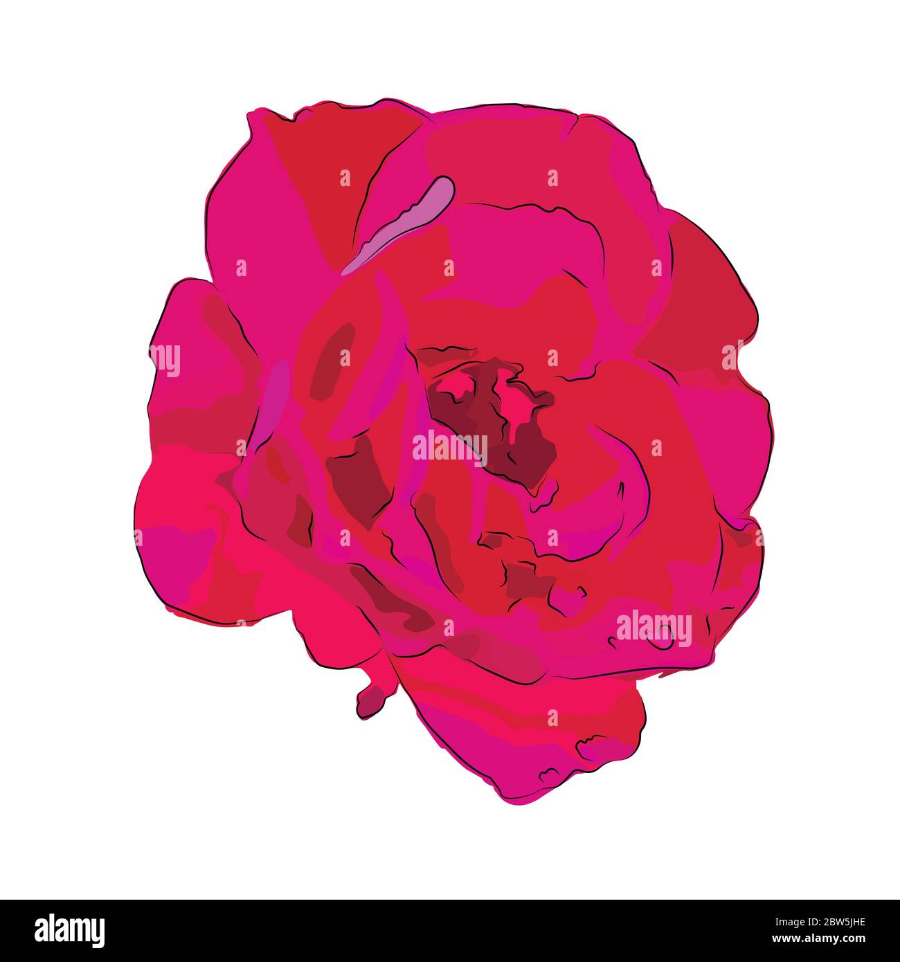 Flower on a white background isolated. Vector Illustration Stock Vector ...