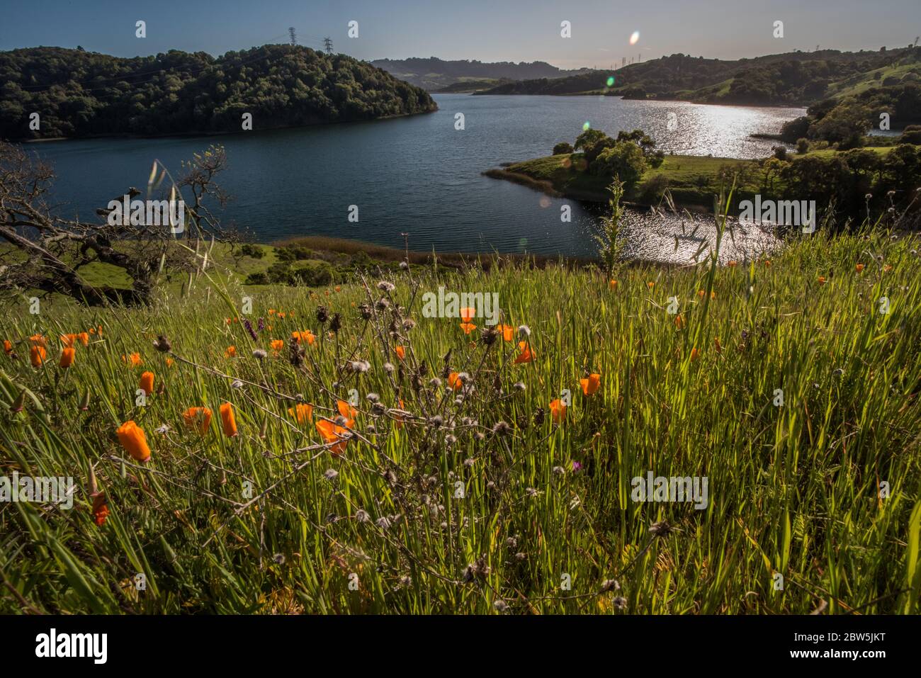 Briones reservoir in the East bay on a sunny day in the spring when flowers are blooming and vegetation is green. Stock Photo