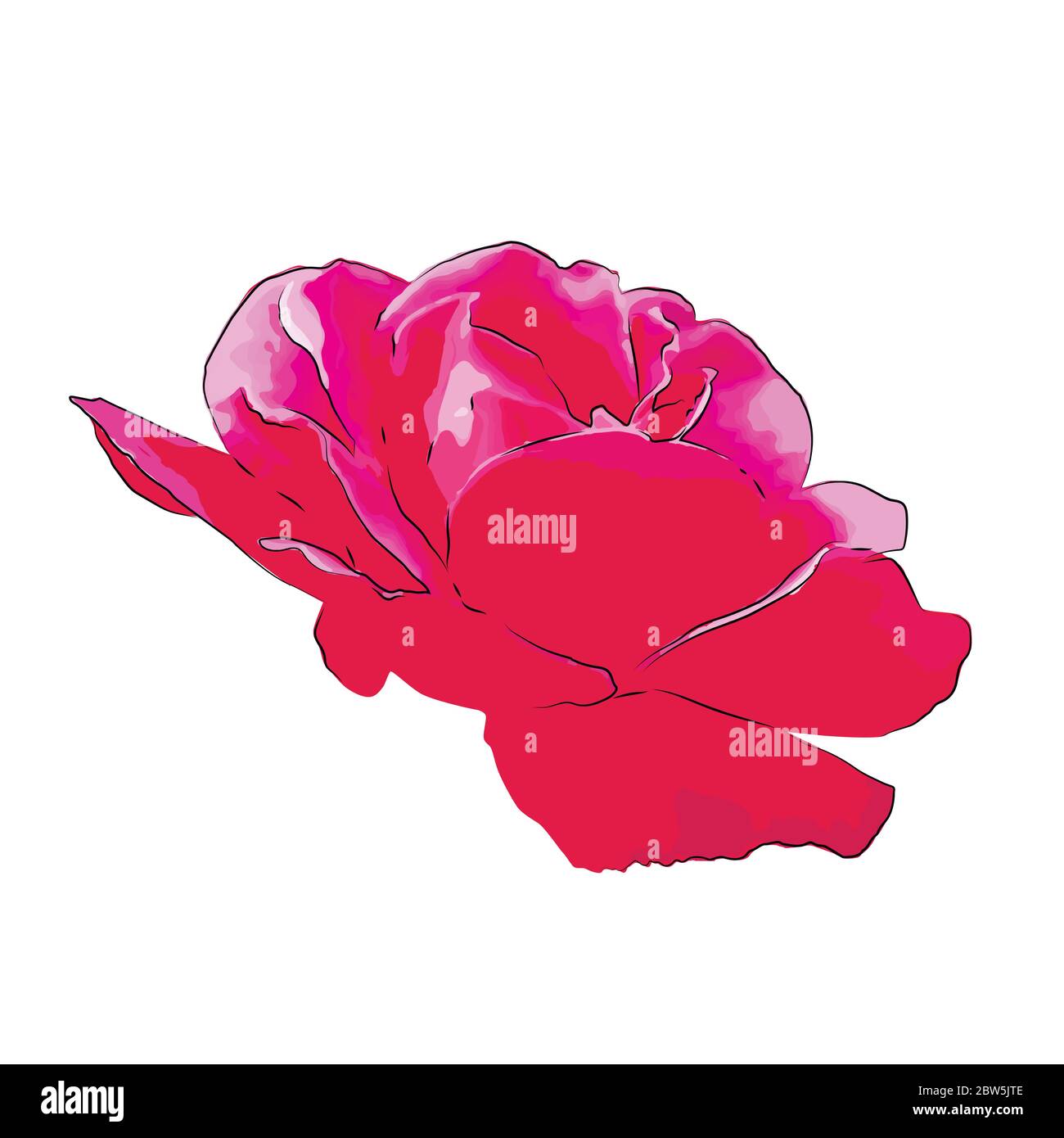 Flower on a white background isolated. Vector Illustration Stock Vector ...