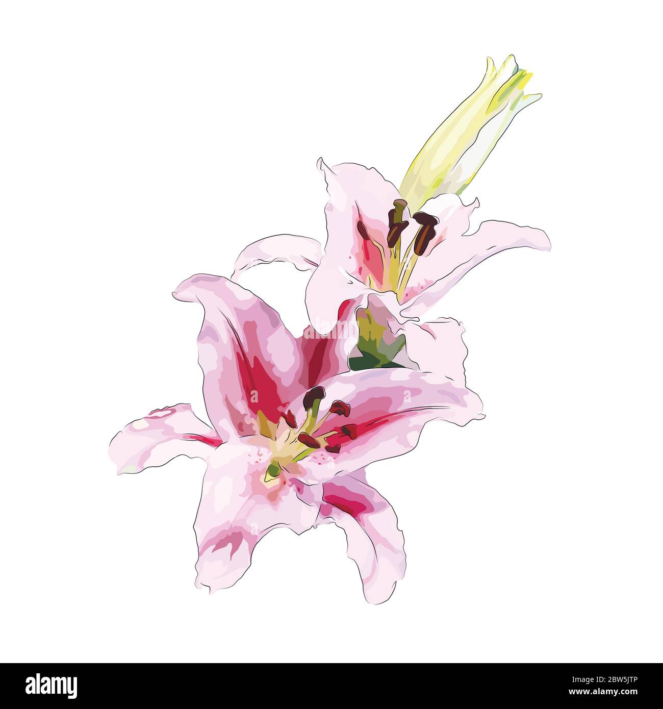 Flower on a white background isolated. Vector Illustration Stock Vector ...