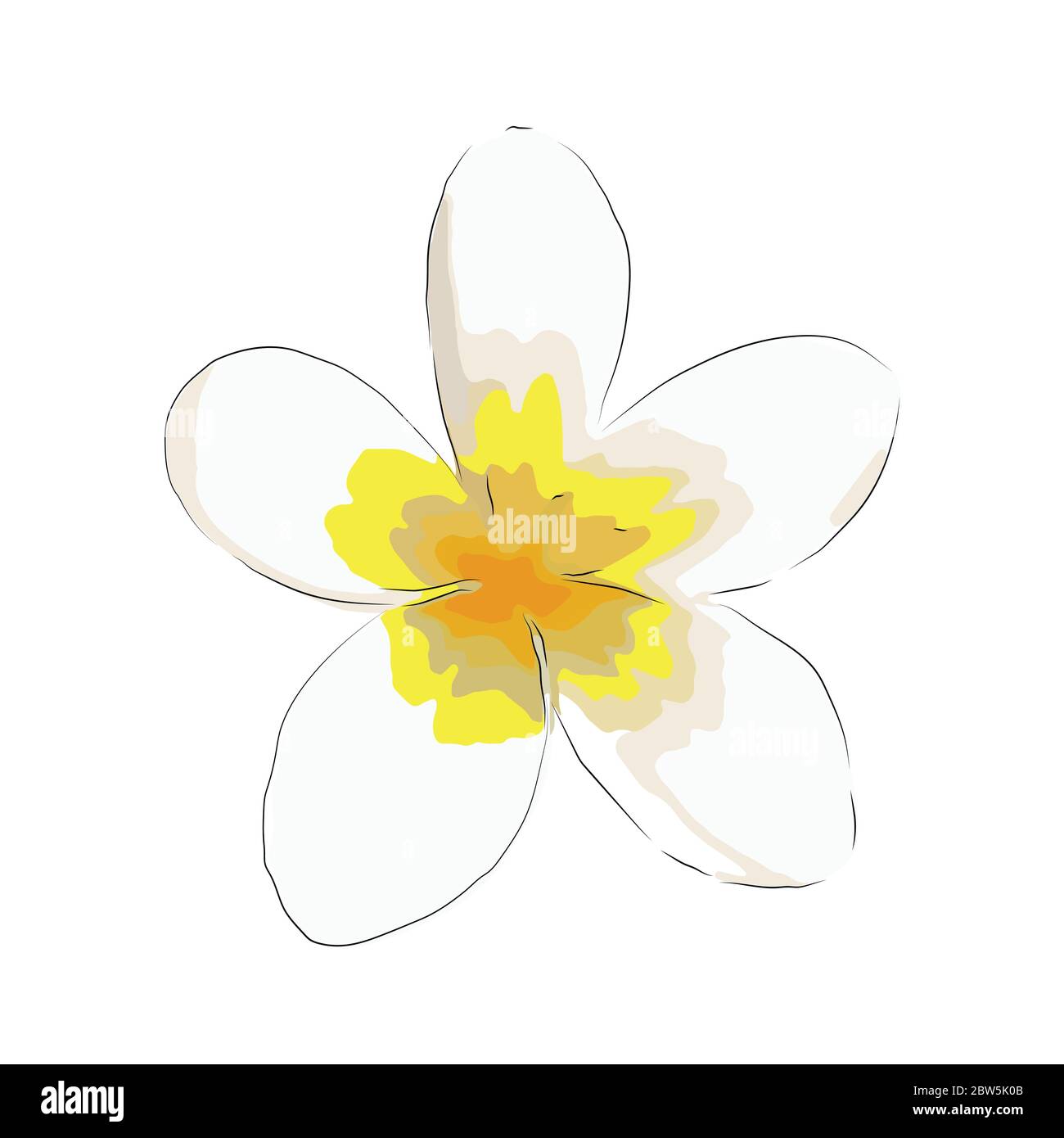 Flower on a white background isolated. Vector Illustration Stock Vector ...