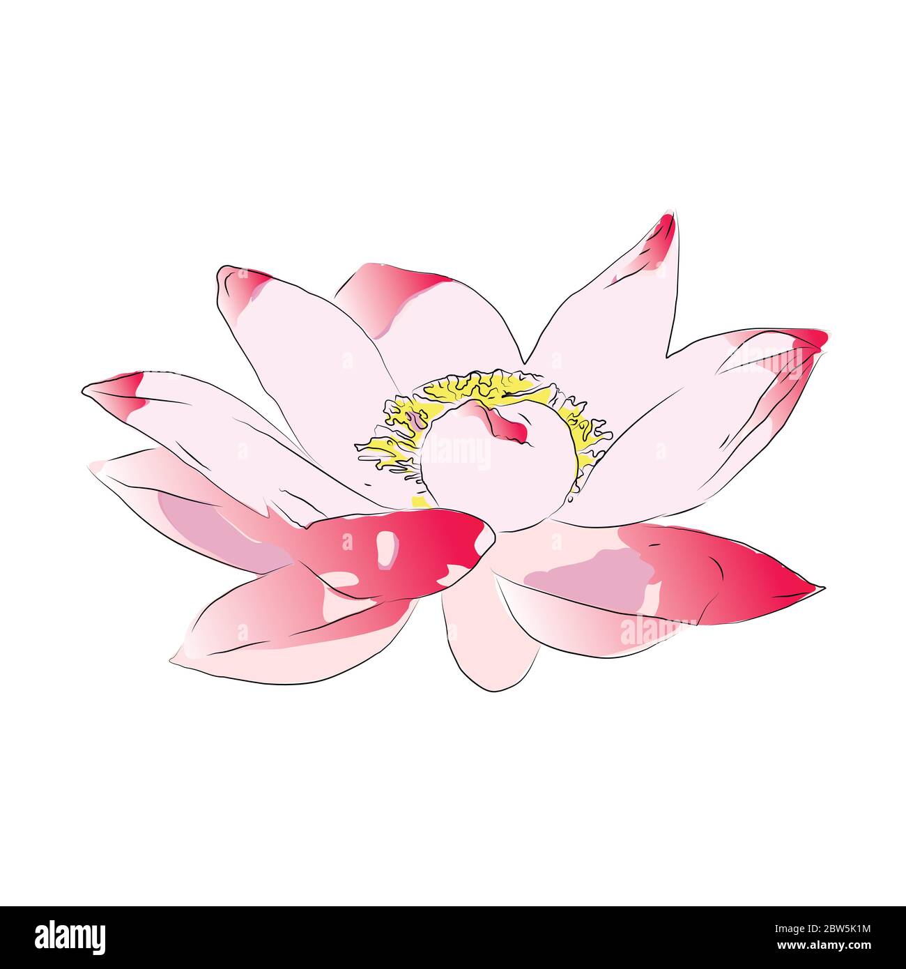 Flower on a white background isolated. Vector Illustration Stock Vector ...