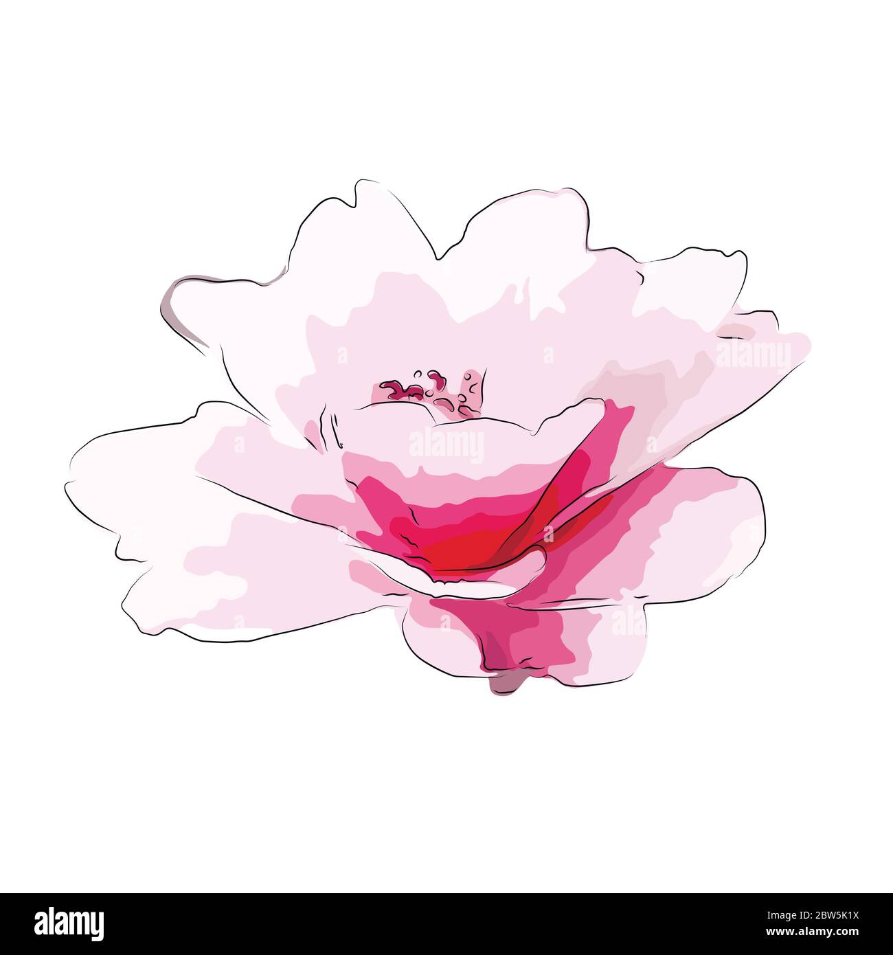 Flower on a white background isolated. Vector Illustration Stock Vector ...