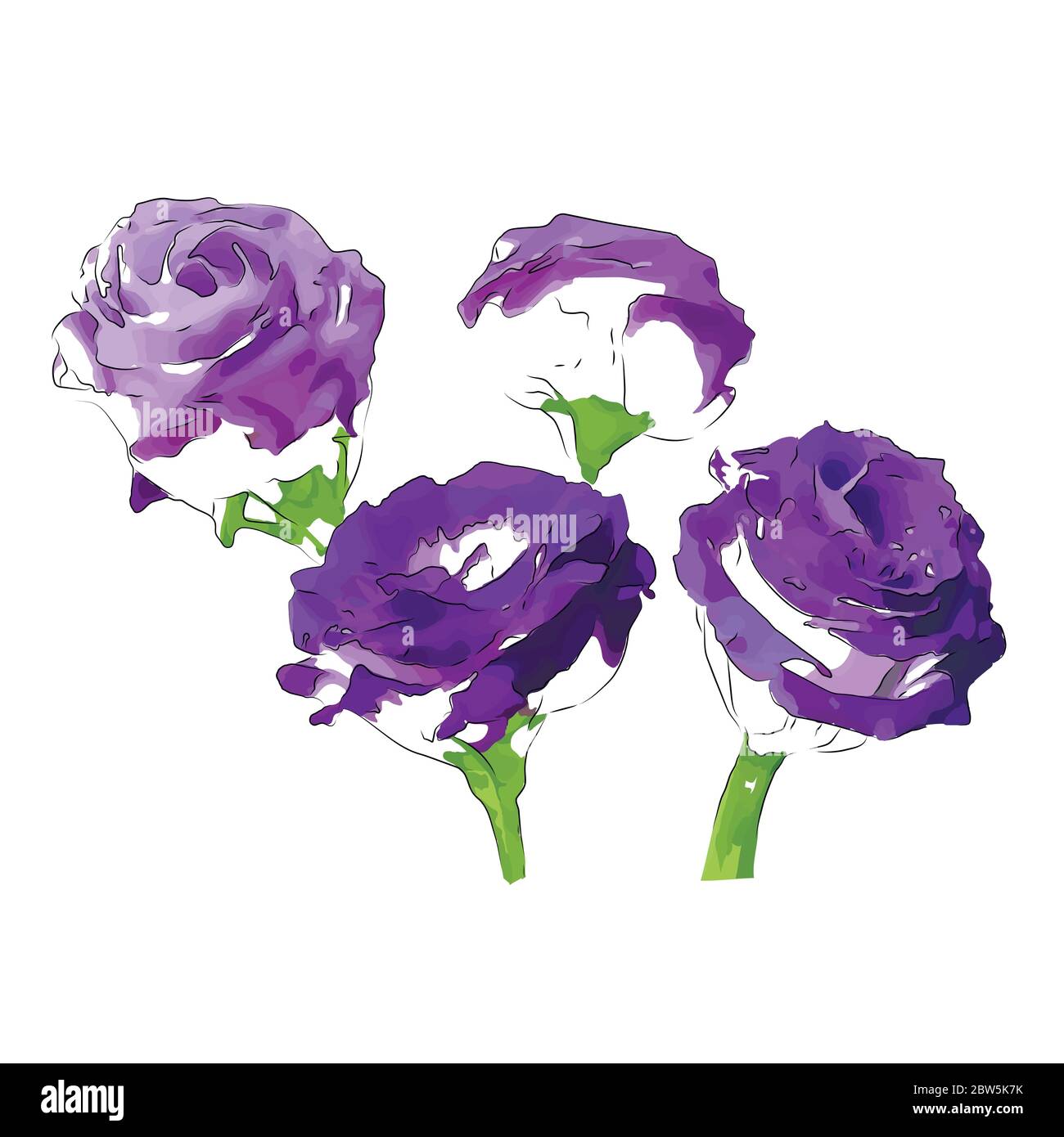 Flower on a white background isolated. Vector Illustration Stock Vector ...