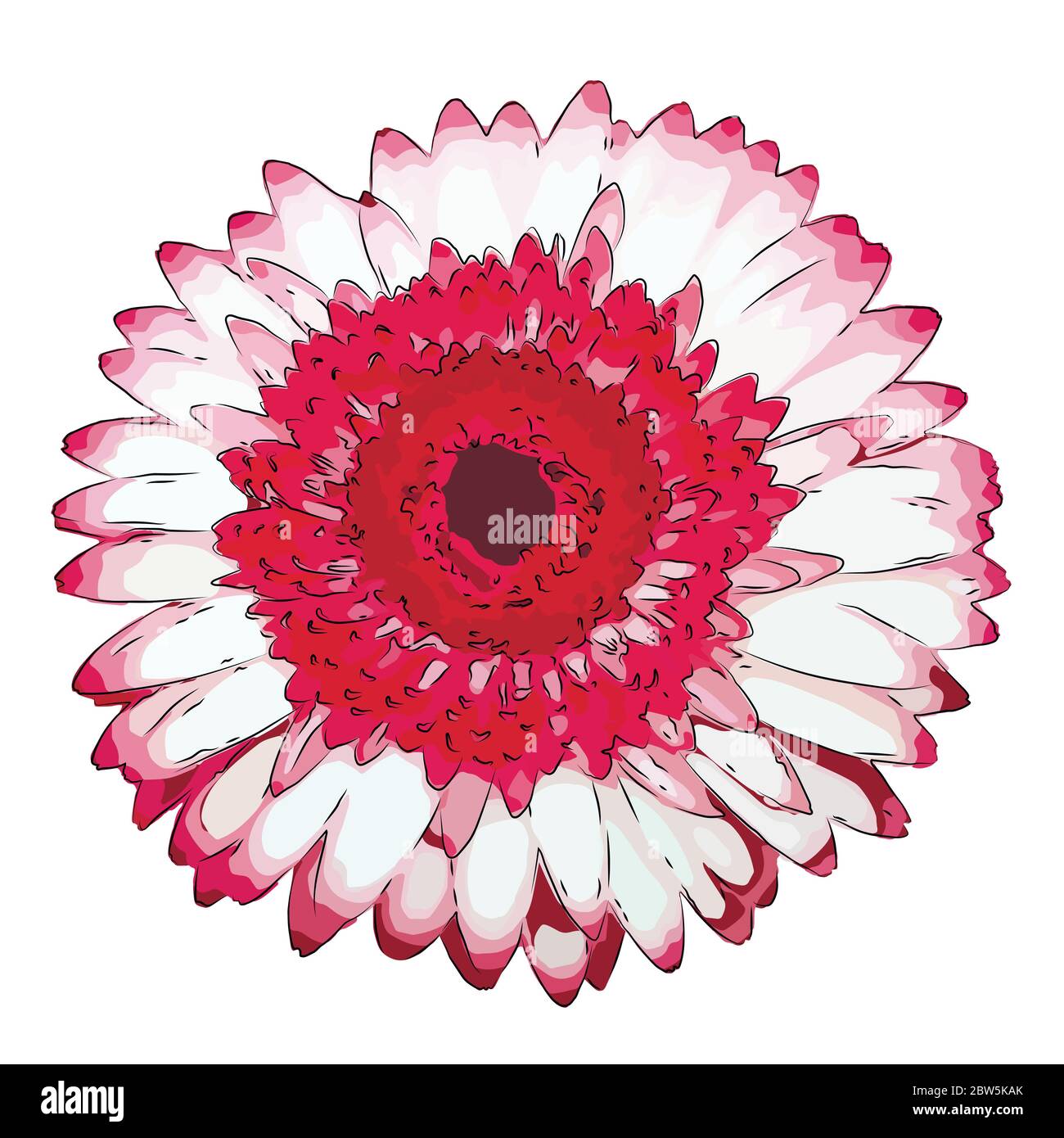 Flower on a white background isolated. Vector Illustration Stock Vector ...