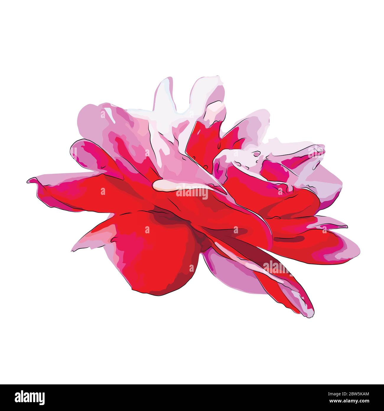 Flower on a white background isolated. Vector Illustration Stock Vector ...