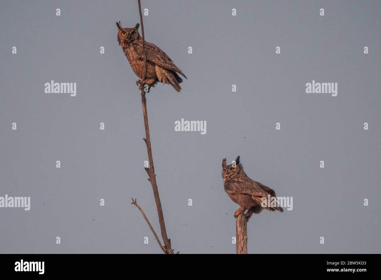 Solano county hi-res stock photography and images - Alamy
