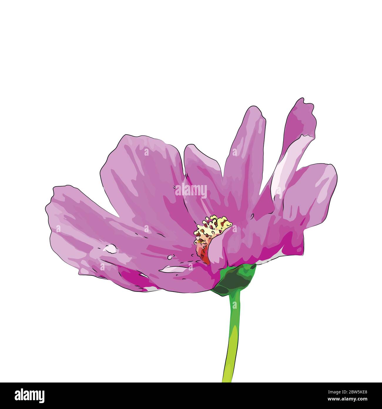 Flower on a white background isolated. Vector Illustration Stock Vector ...
