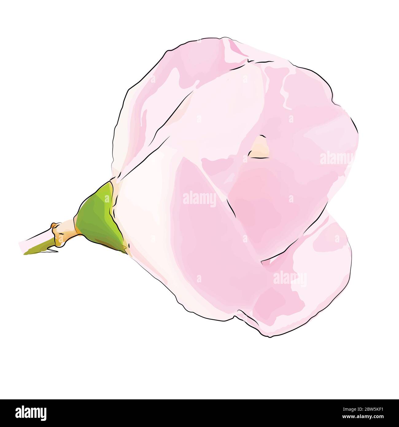 Flower on a white background isolated. Vector Illustration Stock Vector ...