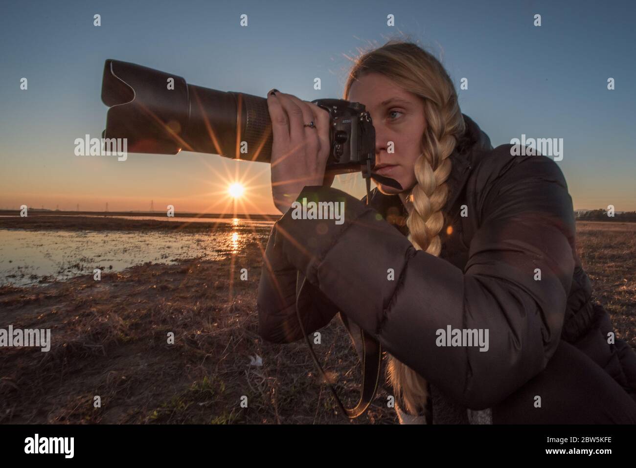 A female wildlife photographer poised with her camera taking photos during the golden hour as the sun sets in the distance. Stock Photo
