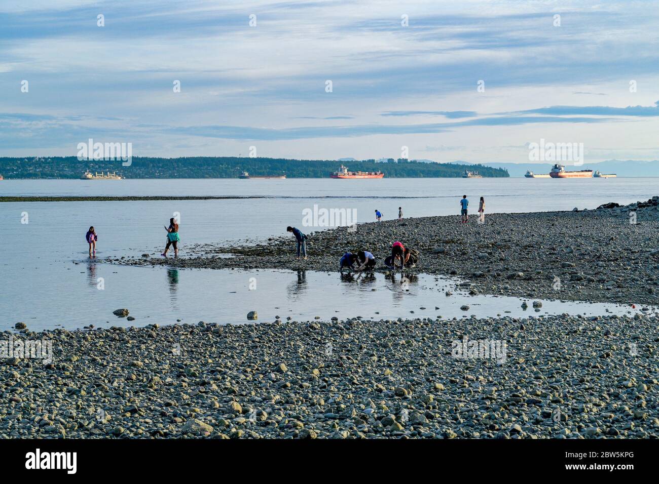 People enjoying warm Spring day at the beach, Ambleside Park, West Vancouver, British Columbia, Canada Stock Photo