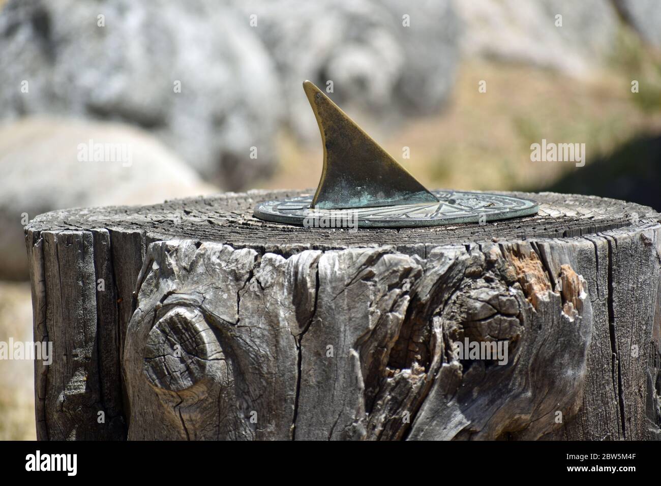 Sun Dial on a Tree Stump Stock Photo
