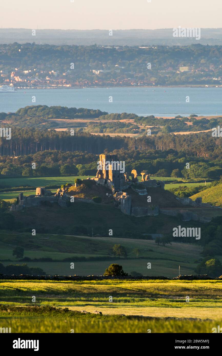 Corfe Castle, Dorset, UK.  29th May 2020.  UK Weather.  The view from Swyre Head of the ruins of Corfe Castle in Dorset illuminated by late afternoon sunshine at the end of a warm sunny day with clear skies with Poole Bay in the distance.  Picture Credit: Graham Hunt/Alamy Live News Stock Photo