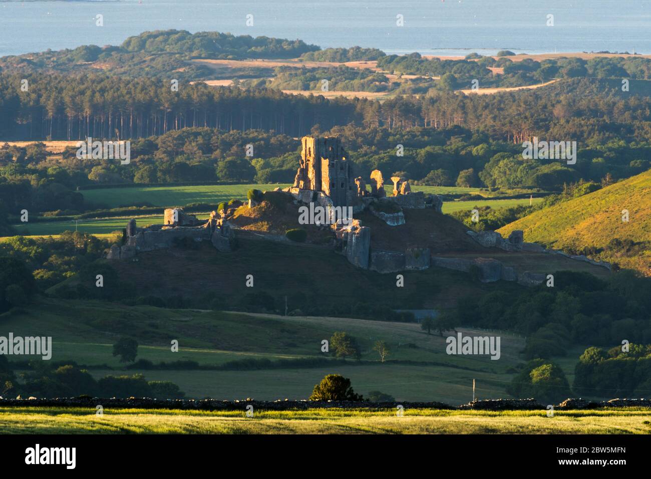 Corfe Castle, Dorset, UK.  29th May 2020.  UK Weather.  The view from Swyre Head of the ruins of Corfe Castle in Dorset illuminated by late afternoon sunshine at the end of a warm sunny day with clear skies with Poole Bay in the distance.  Picture Credit: Graham Hunt/Alamy Live News Stock Photo