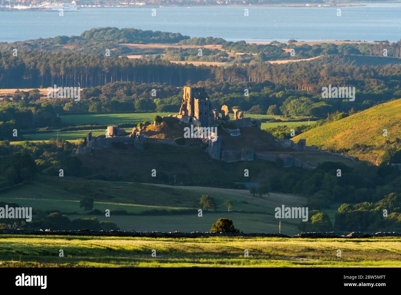 Corfe Castle, Dorset, UK.  29th May 2020.  UK Weather.  The view from Swyre Head of the ruins of Corfe Castle in Dorset illuminated by late afternoon sunshine at the end of a warm sunny day with clear skies with Poole Bay in the distance.  Picture Credit: Graham Hunt/Alamy Live News Stock Photo